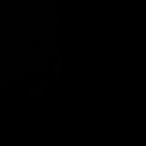 Meet your Posher, Lexi